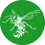 הדברת צרעות