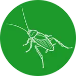 הדברת תיקנים