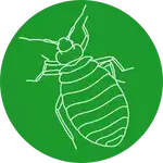 הדברת פשפשי מיטה